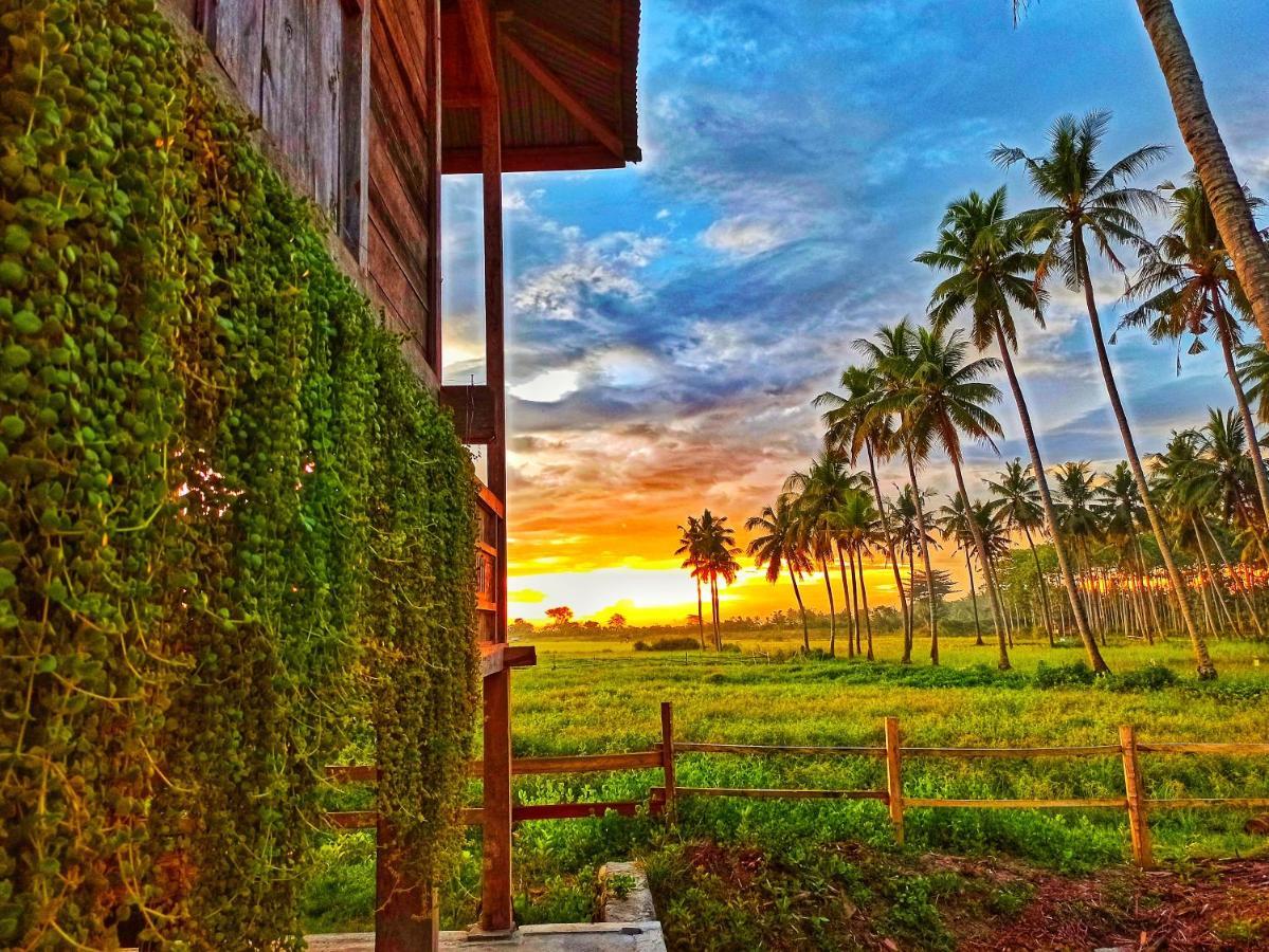 Sunset Homestay By Harry & Mimin Telaga Exteriér fotografie